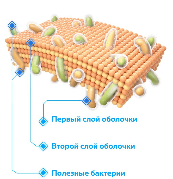 Необиотик лактобаланс<sup>&reg;</sup>